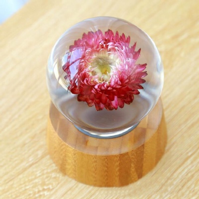 Chrysanthemum Specimen Crystal Ball