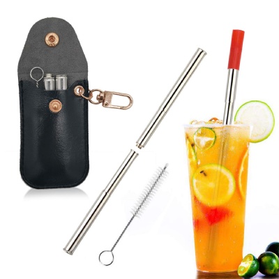 Stainless Steel Straws w/ Keychain PU Pouch Cleaning Brush