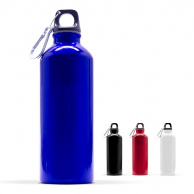 Aluminum Water Bottle with Carabiner